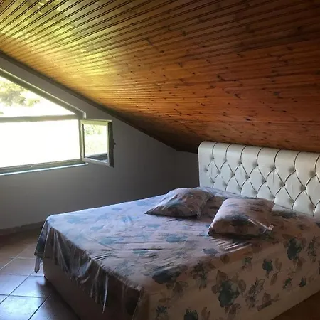 Hotel Aragosta Shengjin 3*