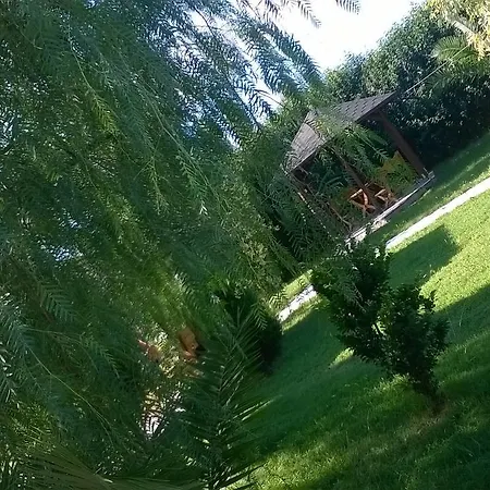 Hotel Aragosta Shengjin 3*